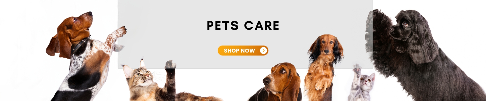pets care products buy online in bahrain