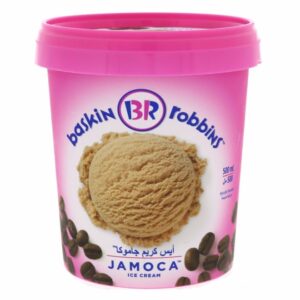 Baskin-Robbins-Jamoca-Ice-Cream-500-ml